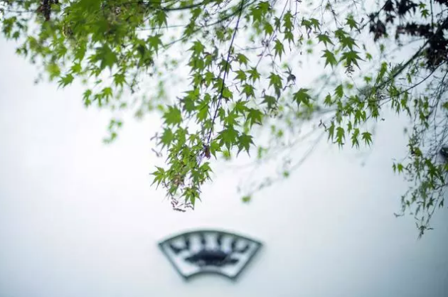 白牆青瓦馬頭牆，綠水青山蔚藍天——美到窒息的徽派建築