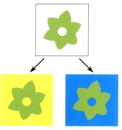 如何營造插畫畫麵感之色彩營造（四）不被表象所影響