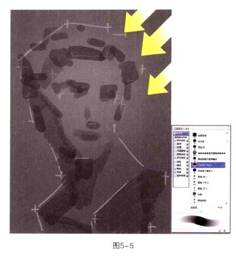 石膏步驟素描教程分享:確立明暗關係